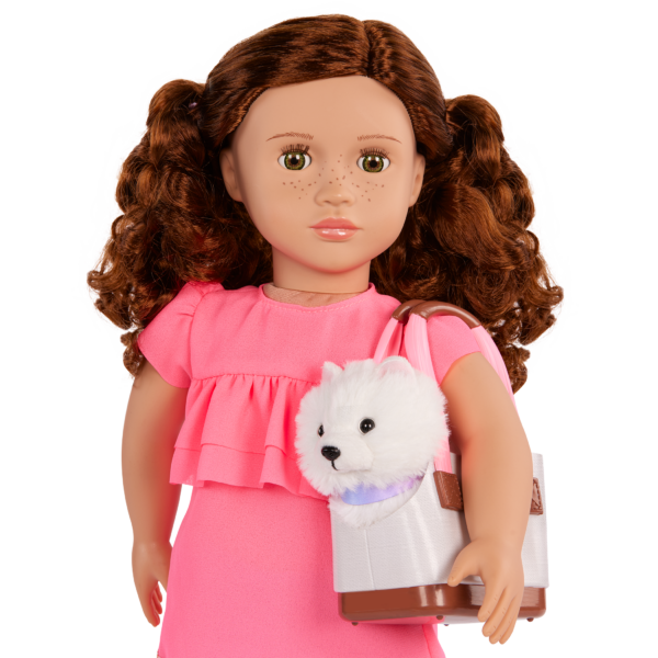 Our Generation 18 inch Doll Becca carrying her pet dog Pearl in a carrying case