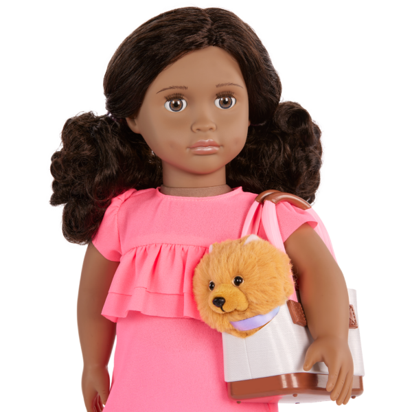 Our Generation 18 inch Doll Ayanna carrying her pet dog Goldie in a dog carrier