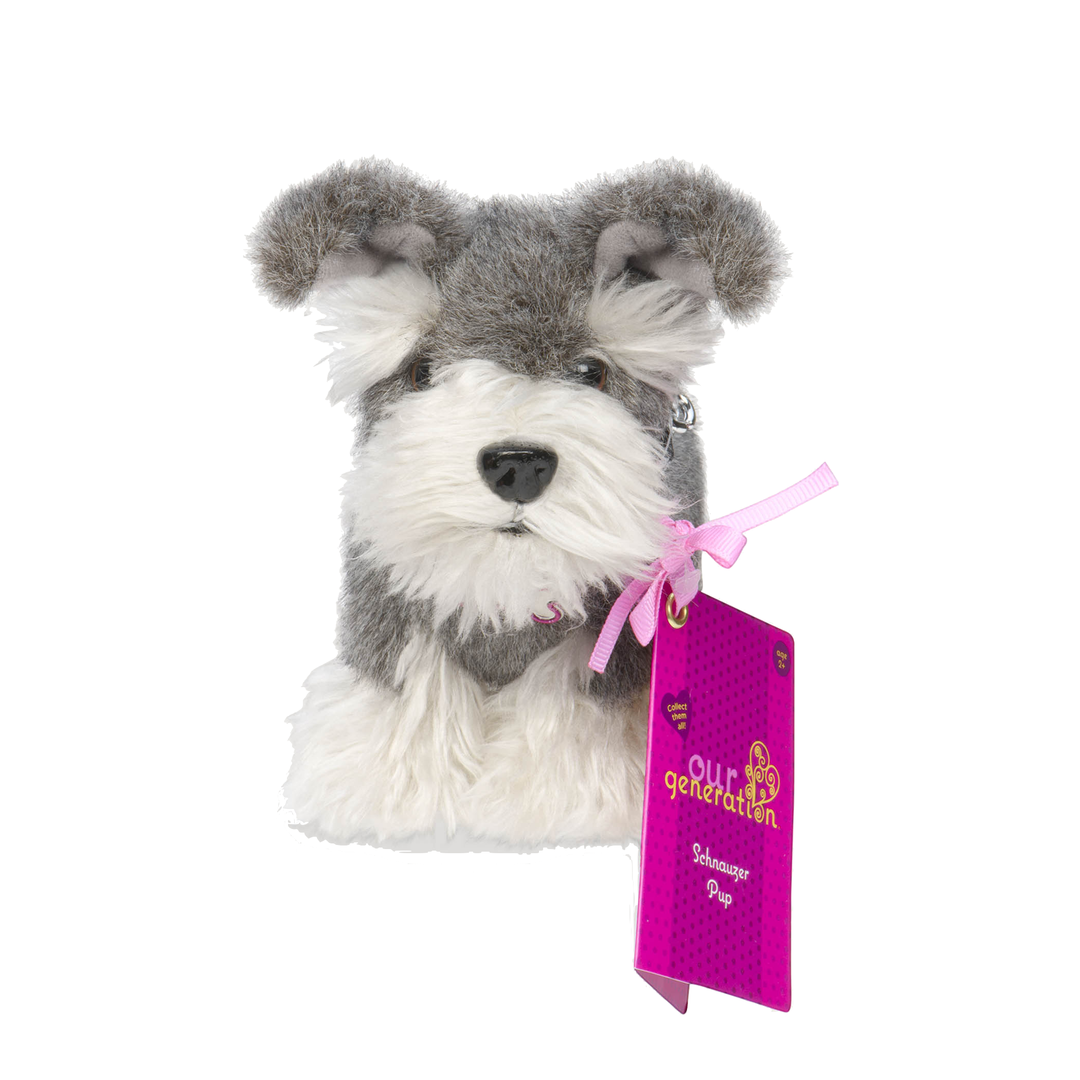 Schnauzer pup package01