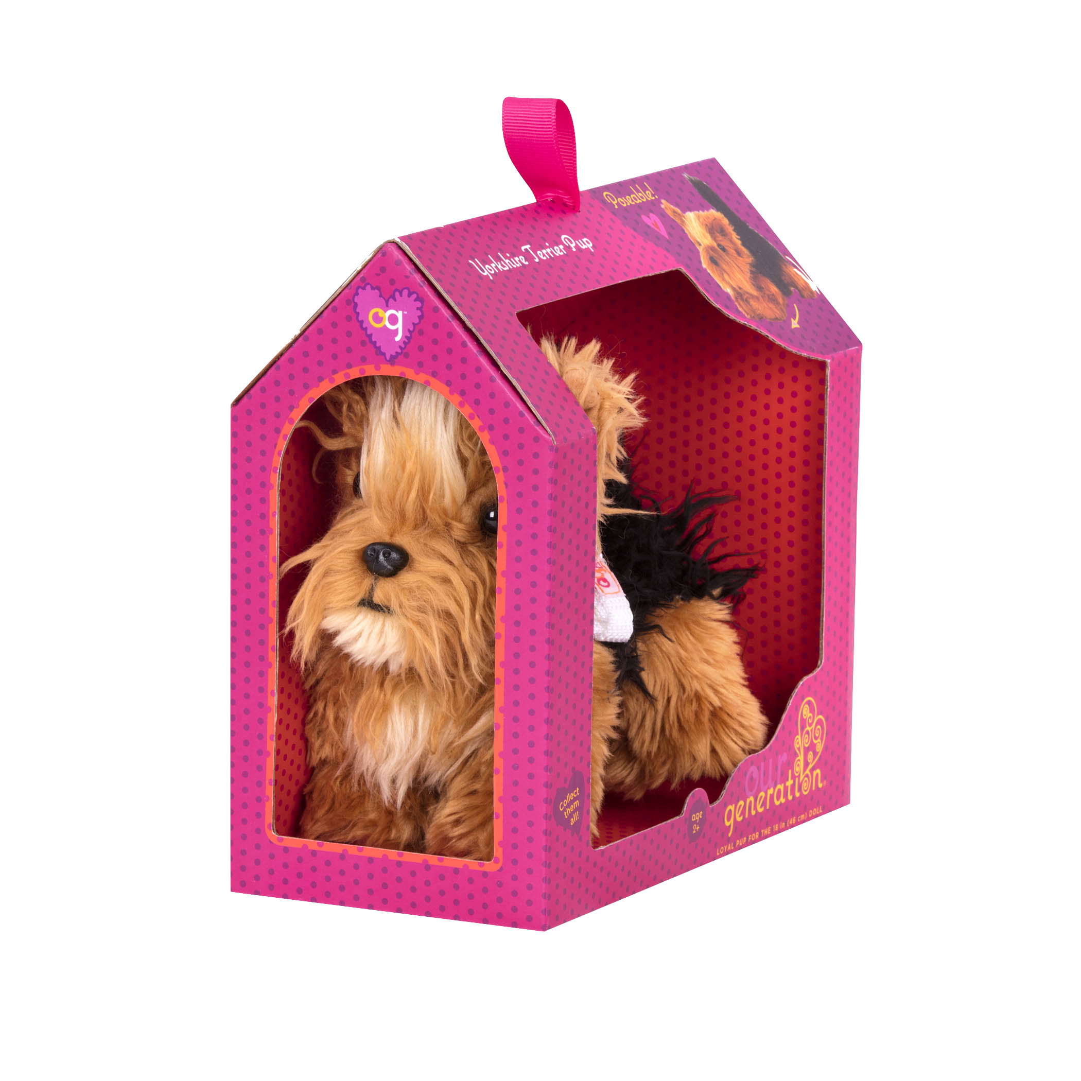 package detail for Yorkshire Terrier Pup