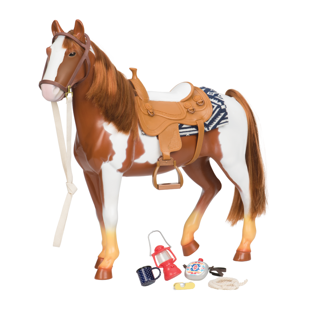 Pinto Horse all components