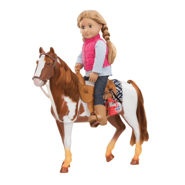 Pinto Horse with Shannon riding