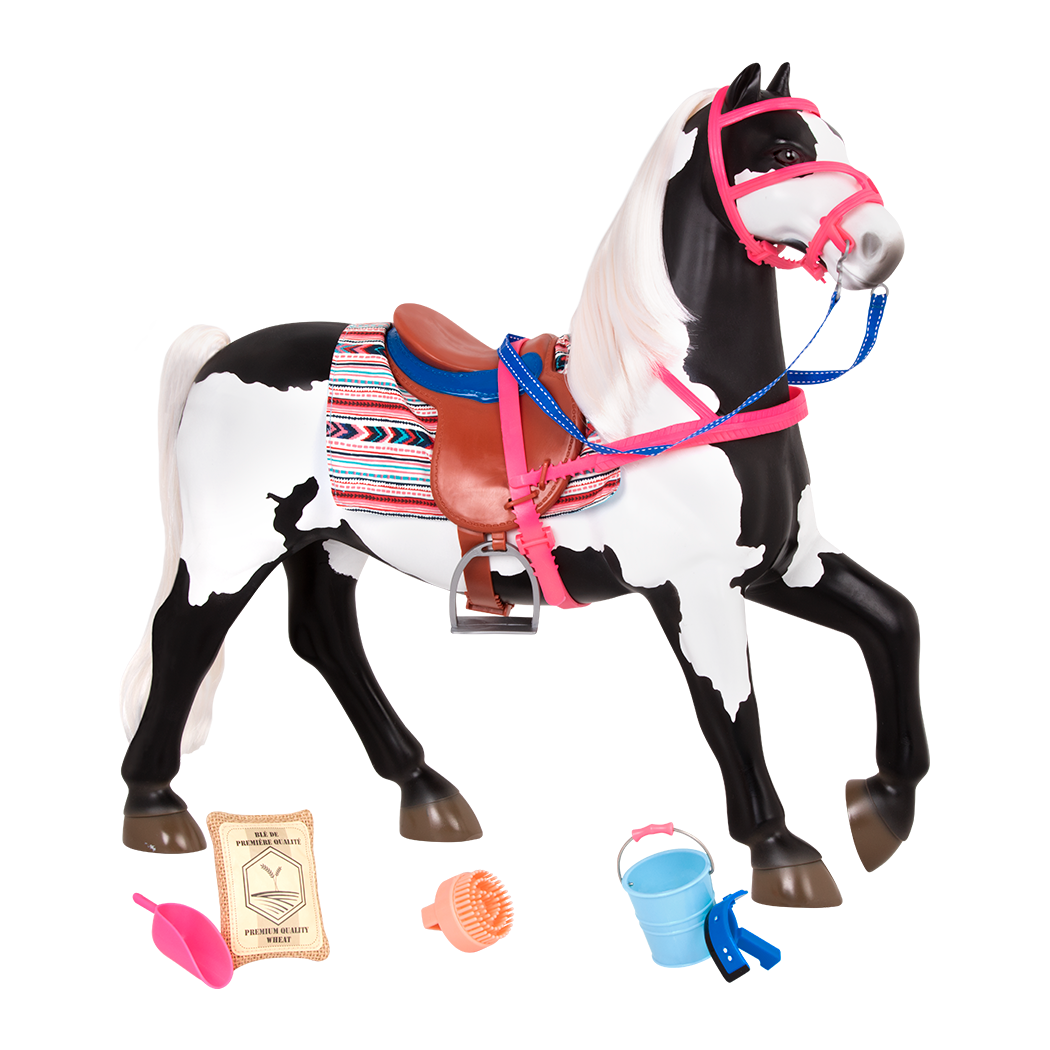 American Paint Horse all components